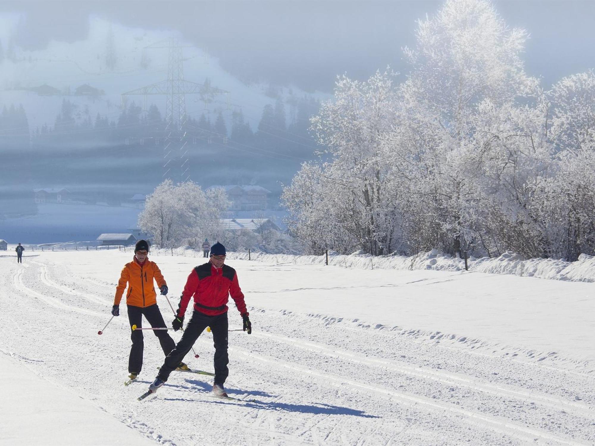 Exquisite Apartment In Mittersill Near Ski Area Exteriör bild